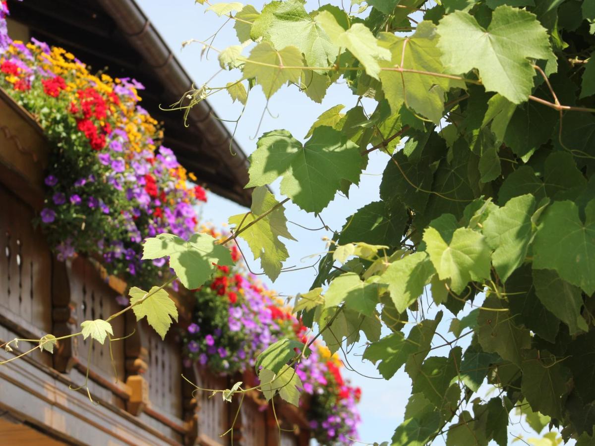 Pension Zum Krug, Messe Muenchen Hergolding 外观 照片